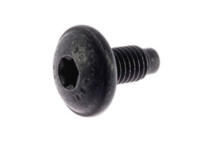 W709723S450BK - BOLT M8X14 PC TI PIL 10