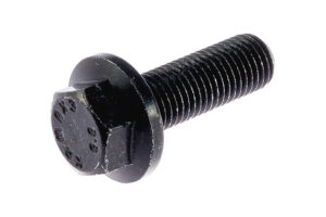 60113697 - Flange screw M10x1,25x30