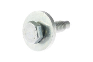 W715314S450K - BOLT&WSHR M6x19 HX PIL FL8 pc 8.8