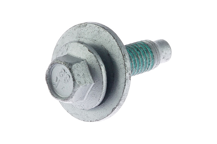 法螺貝34cm Facil webshop | F00000080