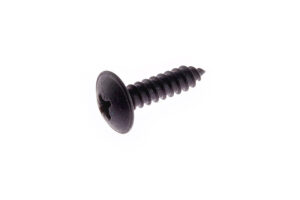 W703268S303 - Screw 4,8x19 Pan Tap