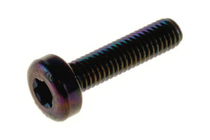 SM04013ADD - Bolt M6x1x25 torx pan hd m/sp