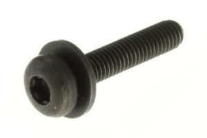 AY00575ADD - M6x1.-31mm PAN SEMS BOLT  6PT-LB SSTL BLO